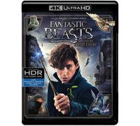 Fantastic Beasts And Where To Find Them [Ultra Hd] With Blu-Ray, 4k Mastering, Digitally Mastered In Hd