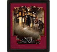 Fantastic Beasts Cadre 3d Lenticulaire 3d Magical Group