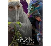 Fantastic Beasts (Fantastic Beasts) 60 x 80 cm Toile Imprimée