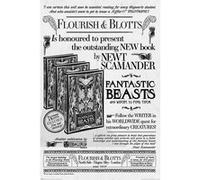 Fantastic Beasts - Flourish And Blotts - 61x91,5 cm - AFFICHE / POSTER G