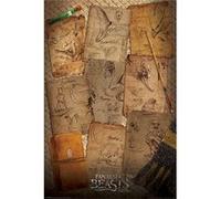 Fantastic Beasts - Notebbok pages - 61x91,5 cm - AFFICHE / POSTER G