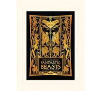 Fantastic Beasts The Crimes Of Grindelwald (Fantastic Beasts and Where to Find Them) Impression montée