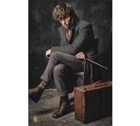 Fantastic Beasts - The Crimes Of Grindelwald (Newt Scamander) - 61x91,5 cm - AFFICHE / POSTER G