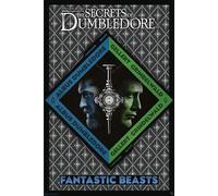 Fantastic Beasts - The Secrets of Dumbledore - Grindelwald - Dimensions : 61 x 91,5 cm + 2 barres d'affiche en plastique transparent de 62 cm