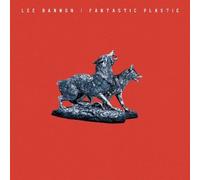 Fantastic Plastic [Import allemand]