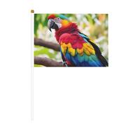Fantastiques plumes de perroquet 1 lot de 6 et 10 drapeaux portatifs, bannières sur bâton, petits drapeaux pour défilés, fêtes, bars, anniversaires