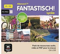 Fantastisch Terminale - Clé USB (audio + video)