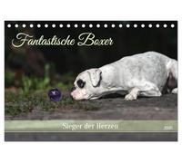 Fantastische Boxer - Sieger der Herzen (Tischkalender 2026 DIN A5 quer), CALVENDO Monatskalender: Bezaubernde Boxer, neugierige und charmante Clowns.
