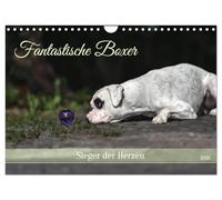 Fantastische Boxer - Sieger der Herzen (Wandkalender 2026 DIN A4 quer), CALVENDO Monatskalender: Bezaubernde Boxer, neugierige und charmante Clowns.