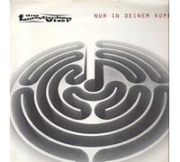 Fantastischen Vier,die - Nur in Deinem Kopf [Vinyl Maxi-Single]