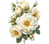 FanZheZhe Kit Broderie Point De Croix Estampé 11Ctdébutant Canevas Point De Croix Kit 11Ct Toile Pré-Imprimé Noel Décoration De La Maison-40X50Cm Fleurs D'Un Blanc Pur