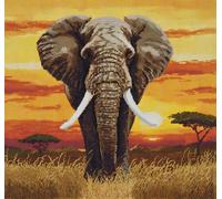 FanZheZhe point de croix kit complet adulte moderne éléphant 11ct40x50cm Point de Croix Kit de Broderie 11CT DIY Œuvres D'art Faites à La Main pour Adultes Débutants décoration d'intérieur