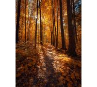 FanZheZhe point de croix kit complet automne Feuilles tombées 11ct40x50cm Point de Croix Kit de Broderie 11CT DIY Œuvres D'art Faites à La Main pour Adultes Débutants décoration d'intérieur