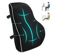FAOKZE Coussin de Soutien Lombaire Ergonomique, Support Dorsal en Mousse à mémoire de Forme pour Chaise de Bureau et canapé, Coussins lombaires pour Une Position Assise Confortable