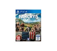 Ubisoft Far Cry 5 Standard PlayStation 4
