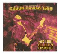 Far East Blues Experience [Import]
