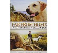 Far From Home: The Adventures of Yellow Dog – DVD Zone 1 – Grand écran – Disney