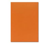 FarbenFroh - Lot de 100 feuilles de papier A4 - Feuille plano - Terracotta (orange) - 225 g/m² - 21 x 29,7 cm - Papier de couleur - Carton photo - Carton de couleur