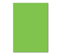 FarbenFroh - Lot de 50 feuilles de papier A5 - Feuille plano - Vert menthe - 240 g/m² - 14,8 x 21 cm - Feuille de bricolage - Papier de couleur - Carton photo - Carton de couleur