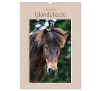 Farbenfrohe Islandpferde (Wandkalender 2026 DIN A3 hoch), CALVENDO Monatskalender: Künstlerische Portraits von 12 wunderschönen Isländern