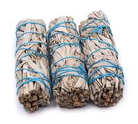 Farbenwald Lot de 3 fagots de Sauge Blanche à brûler, Environ 11 cm de Long, bâtonnets, provenant de Salvia Apiana de Californie, encens