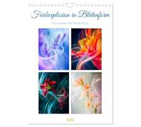Farbexplosion in Blütenform (Wandkalender 2026 DIN A4 hoch), CALVENDO Monatskalender: Blütenkunst entfaltet sich als eine bezaubernde Symbiose von Farben, Formen und kreativen Ausdrucksformen.