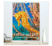 Farbrausch unter Wasser: Fische am Riff (hochwertiger Premium Wandkalender 2026 DIN A2 hoch), Kunstdruck in Hochglanz: Leuchtende bunte Fische und farbenfrohe Korallen-Welt (Planer-Kalendarium)