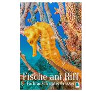 Farbrausch unter Wasser: Fische am Riff (Wandkalender 2026 DIN A2 hoch), CALVENDO Monatskalender: Leuchtende bunte Fische und farbenfrohe Korallen-Welt (Planer-Kalendarium)