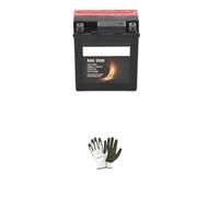 farbrothersonline Compatible avec Honda NSC Vision 4T R16 110 2012 A 2014 Batterie Bosch Deja PRÊTE A l'emploi 6AH AMP YTX7L-BS Batteries 12V Moto Scooter Charge M6006 114X71X131MM