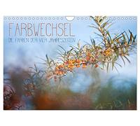 Farbwechsel - Die Farben der vier Jahreszeiten (Wandkalender 2026 DIN A4 quer), CALVENDO Monatskalender: Für Naturliebhaber und Fotofreunde, die Natur im Wandel der Jahreszeiten.