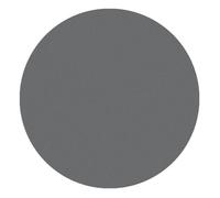 ParisAx Ombres à Paupières Mat Gris Clair 4 g