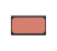 Fard Blusher Nº 6 (5 g)