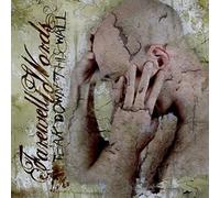 Farewell to Words - Tear Down the Walls