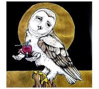Farewell Transmission/The Dark [Import]