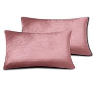 FARFALLAROSSA Lot de 2 Housse de Coussin Velours 40x150 cm, Taie d'oreiller Rectangulaire Doux et Moderne pour Salon Scandinave Canapé Rose