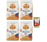 Wasa Original Lot de 3 crackers avec 100 % farine de seigle, tranches croustillantes avec farine de seigle entier, riches en fibres, 275 g + boîte italienne Gourmet Polpa di Pomodoro 400 g