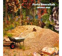 Nourallah, Faris - Minus One (LP) [Import]