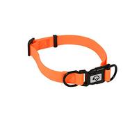 FARM-LAND Collier réglable pour chien de chasse Orange vif (24-36 cm)