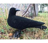 FARM-LAND Corbeau bou loqué 33 cm chasse aux corbeaux