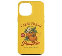 Farm Organic Pumpkin Fresh Farmer's Market Vintage Fall Coque pour iPhone 13 Pro Max