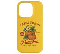 Farm Organic Pumpkin Fresh Farmer's Market Vintage Fall Coque pour iPhone 14 Pro