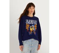 Farm Rio Farm Rio Blue Love Birds Embroidery Sweater