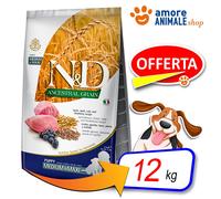 Farmina Alimentation chien N&D Ancestral Agneau, épeautre, avoine, myrtille Chiot Medium/Maxi 12 kg