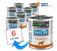 FARMINA VetLife Convalescence - Nourriture diététique pour chiens adultes en convalescence - 300g