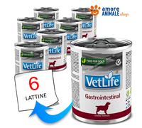 Farmina Chien Vet Life - Gastro-Intestinaux → Boîtes De 300 Gr - Humide Chien,