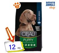 Farmina Cibau Chiens Chiot Maxi Poulet Croquettes 12 Kg