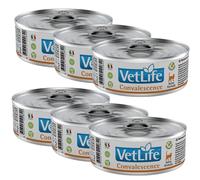 Farmina Vet Life Feline Convalescence 6x85g