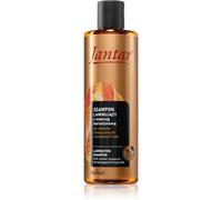 Farmona Jantar Amber Essence shampoing pour cheveux abîmés aux céramides 300 ml