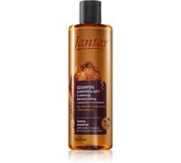 Farmona Jantar Amber Essence shampoing pour cheveux bouclés et frisé 300 ml