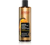 Farmona Jantar Amber Essence shampoing purifiant détoxifiant pour cheveux gras 300 ml